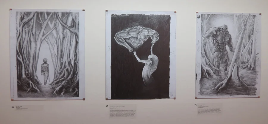  44 - 46.  In the Beech Forest  by Den Scheer (author Gary Crew) 