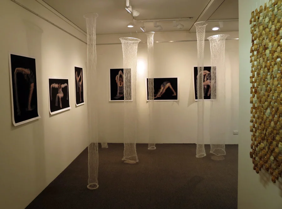  18.  Meditation on Form  installation by Anne Farren tubular knitted monofilament, photographic images on canvas (photographer Richard Jefferson, model Caitlin Farren) $5385 