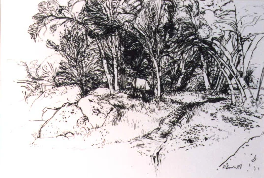 1990Birch Robert Unframed_Rackham Grove.jpg