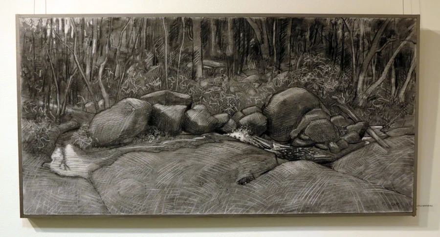  18.&nbsp;Madeleine Clear,&nbsp; The Little Waterfall , charcoal on plywood, 2014, $1,450 