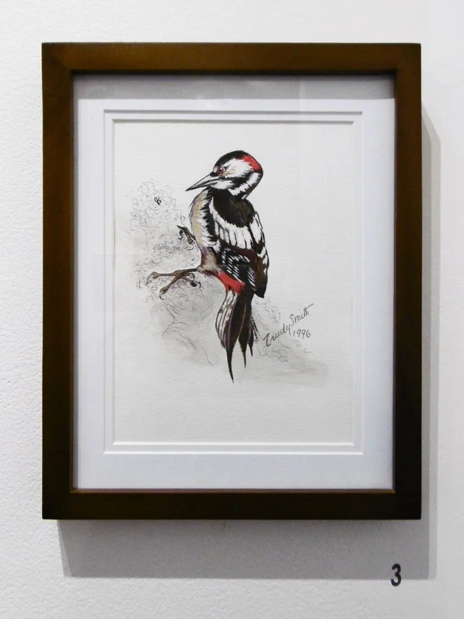  3. 'Bird 2', Trudy Smith, watercolour on paper, Private Collection 