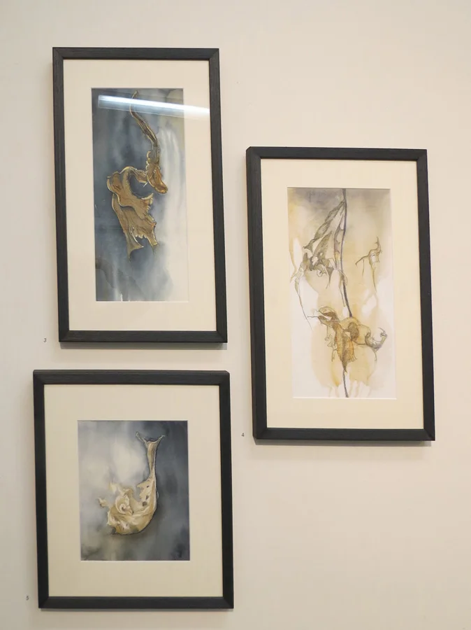  3. 'Into the Unknown', Caroline Lyttle, watercolour and ink, $450  4. 'A Fleeting Moment', Caroline Lyttle, watercolour and pencil, $450  5. 'Seeing Life in Decay', Caroline Lyttle, watercolour and pencil, $430 