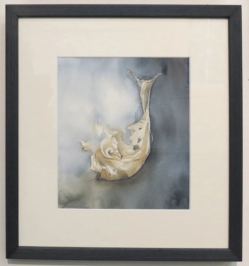  5. 'Seeing Life in Decay', Caroline Lyttle, watercolour and pencil, $430 