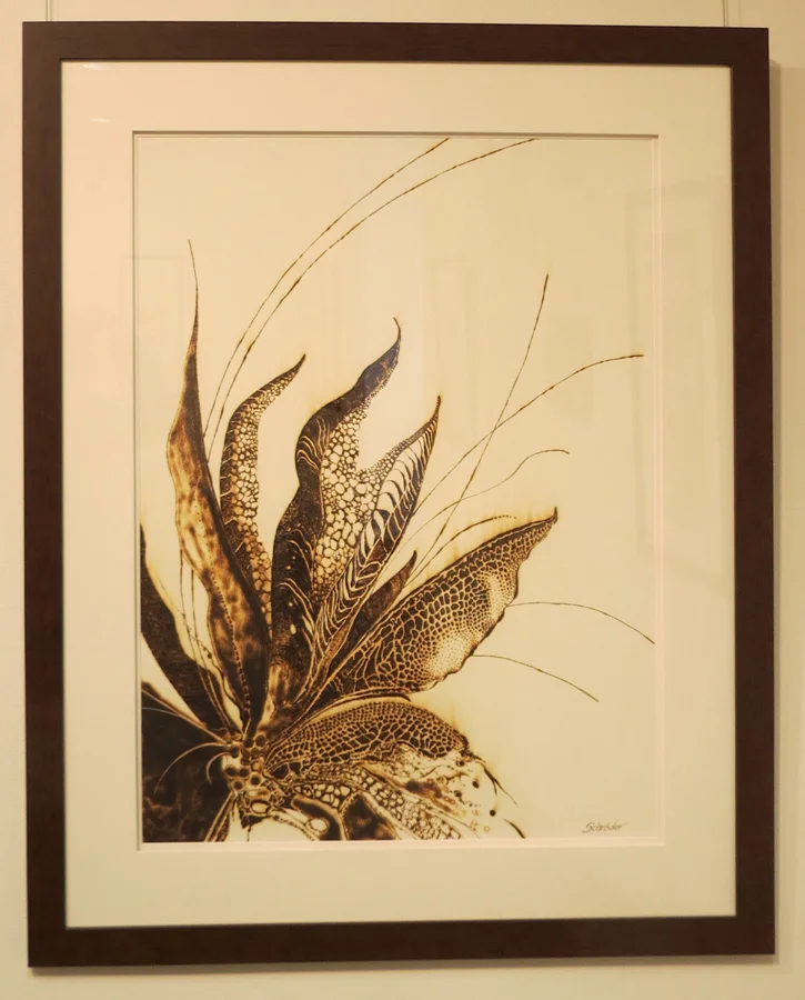  9. 'Floral Ignition II', Sandie Schroder, burnt paper, $1,550 