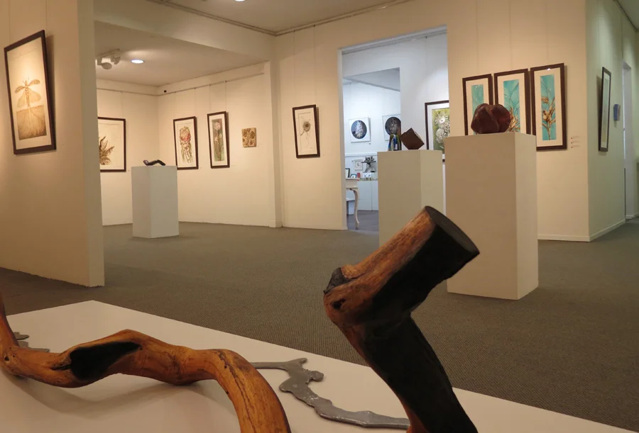   Fire Works  Gallery view 