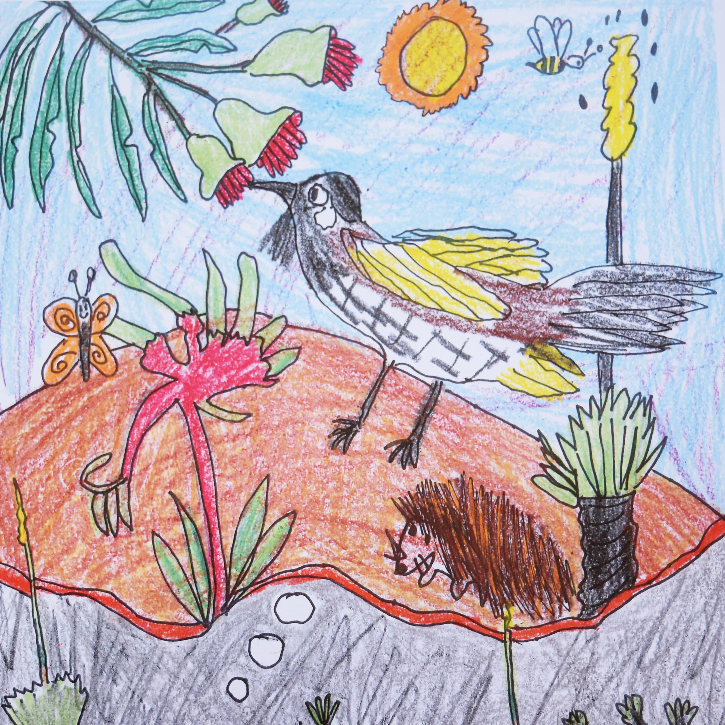 Mundaring Environmental Art Project 2017