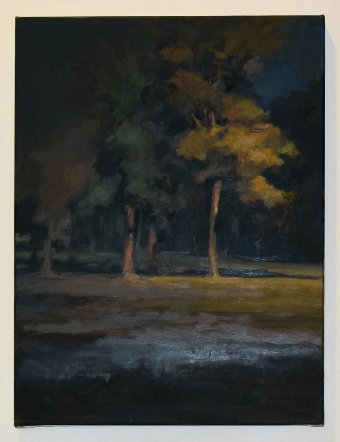  30. Gina Moore, 'Park at Night', 2007, oil on linen, NFS 