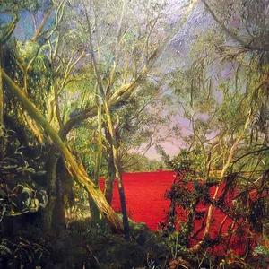 Canopy