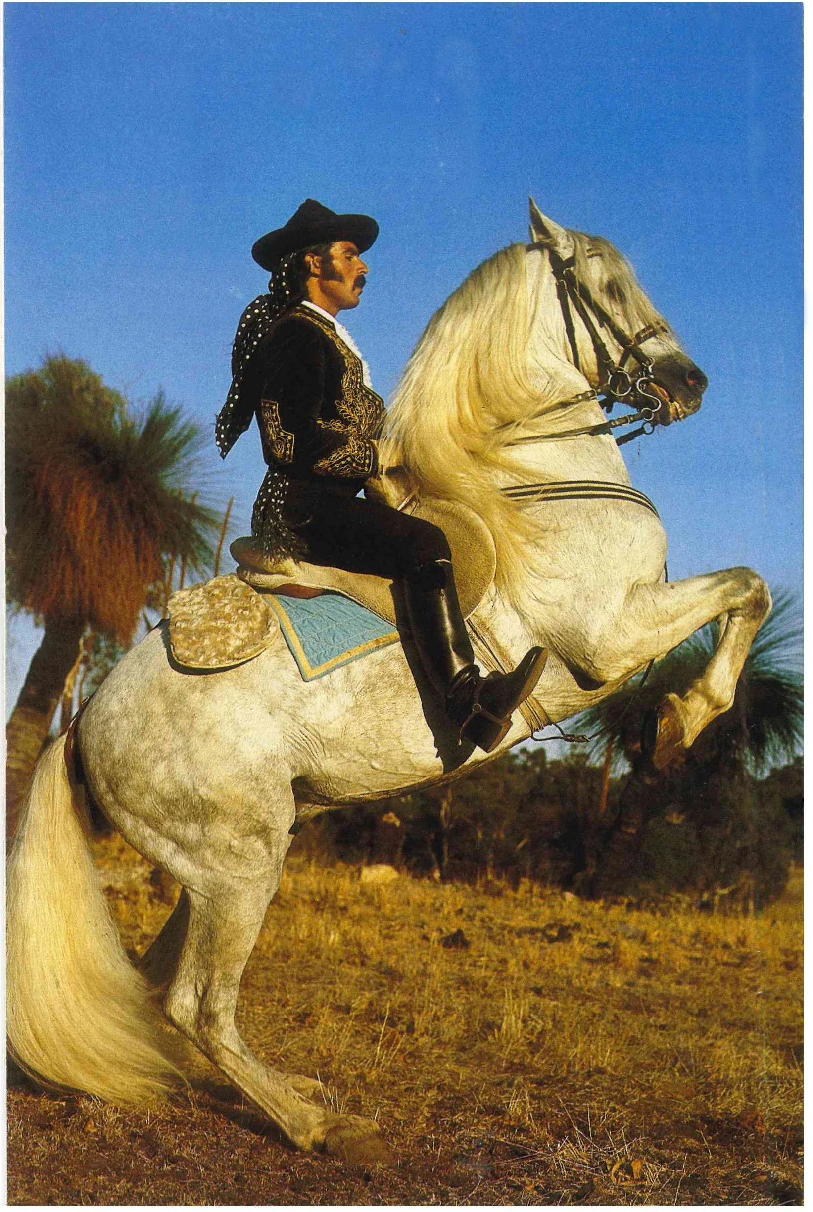 Hoofprints in the Hills - Historical Exhibition