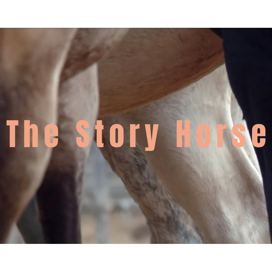 The Story Horse