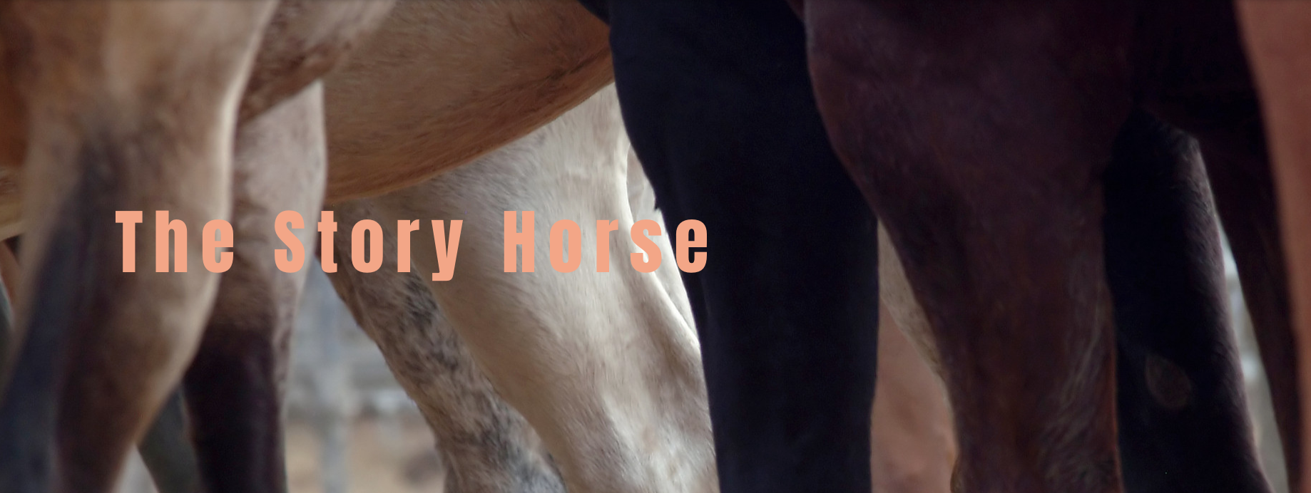 The Story Horse - Call for Submissions