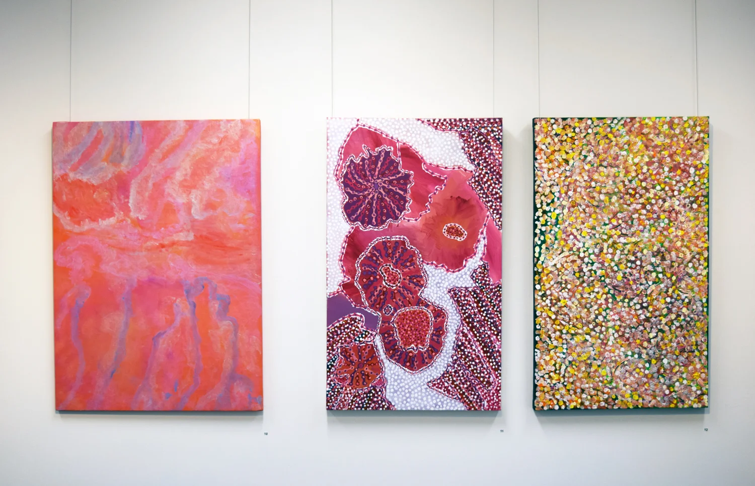 The Gurawu Collection gallery view (3).jpg