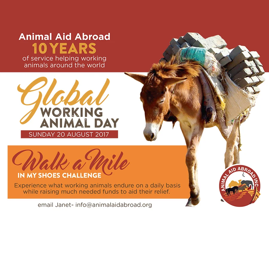 Walk a Mile in My Shoes Challenge with Animal Aid Abroad 