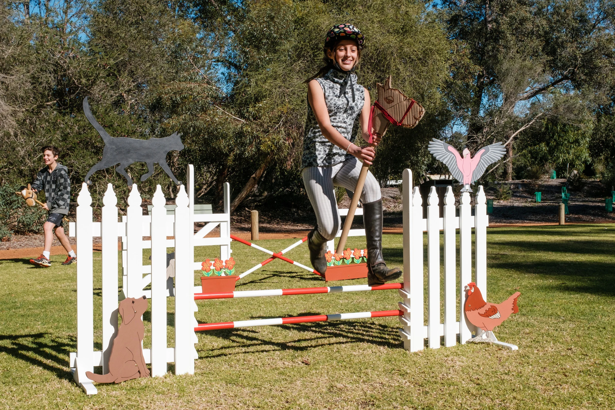 Great Hobby Horse Race