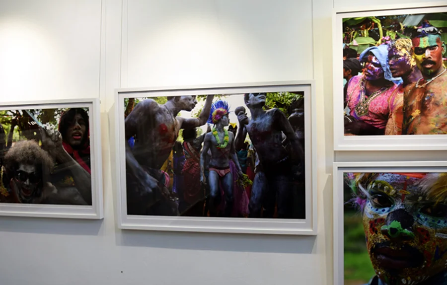  Vahana: Vehicle of the Gods gallery view 