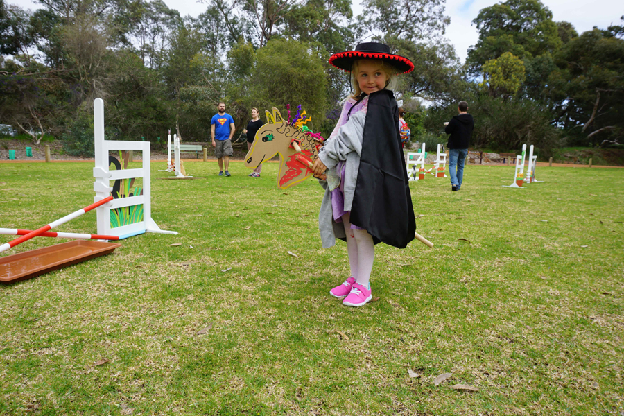 Great Hobby Horse Races - ready to go.jpg