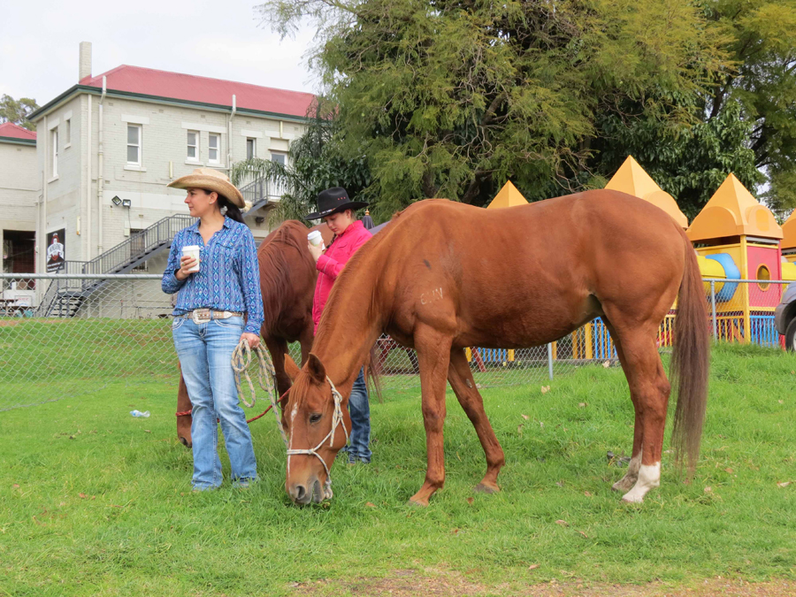 Horses at the pub.jpg