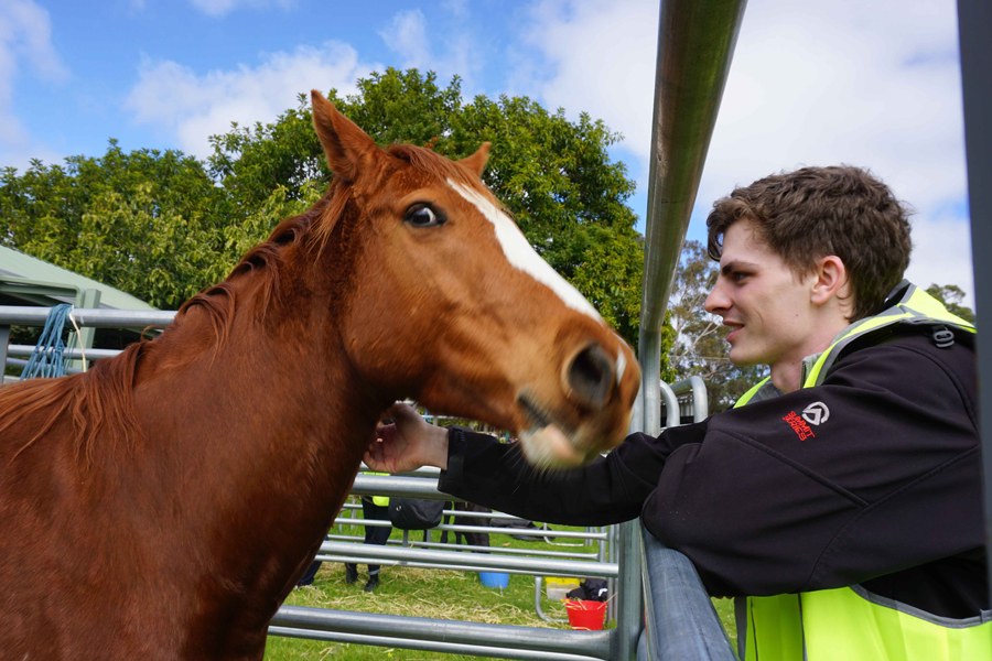 Volunteer jake with horse.jpg