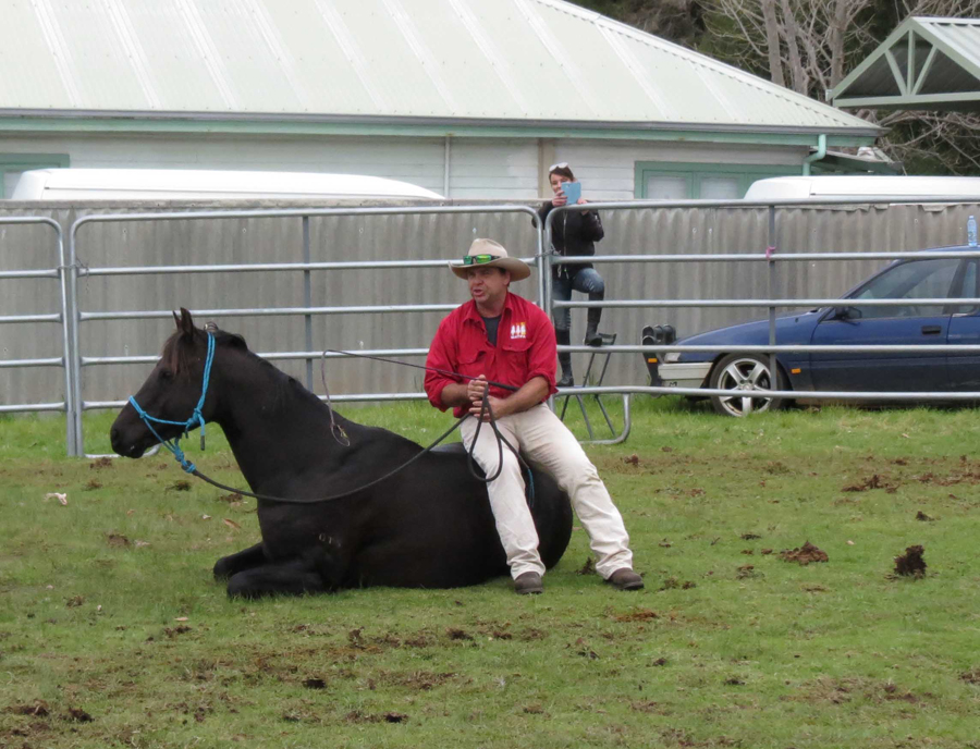 Warren performing tricks with his horse.jpg