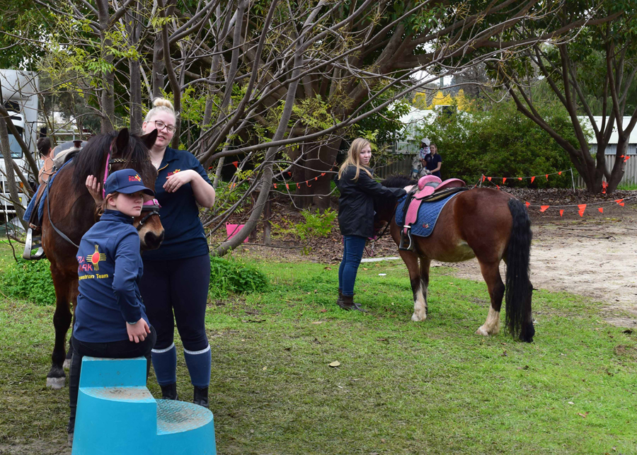 Zia Park pony rides.jpg