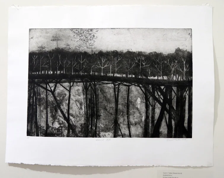  5. Material Echo, Gwenn Tasker, Etching, AP, Image size 30 x 40 cm Paper size 56 x 76cm, edition available from PCA 