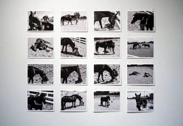 7. Matt McVeigh, A Horse on Course (2).jpg