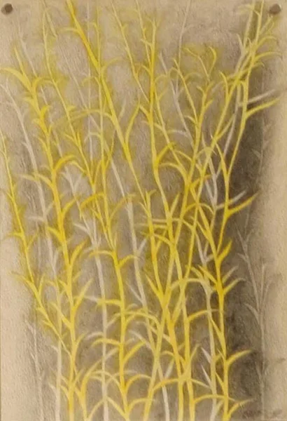  23. Peggy Lyon, 'Daviesia decurrens', Pen, pencil, acrylic on paper, 2017, 28 x 19 cm, $150 