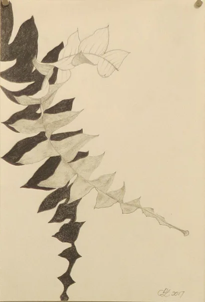  27. Peggy Lyon, 'Banksia grandis', Pen, pencil, acrylic on paper, 2017, 28 x 19 cm, On loan from the Lyon Estate 