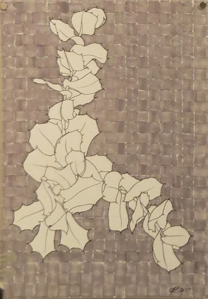  28. Peggy Lyon, 'Hakea prostrata', Pen, pencil, acrylic on paper, 2017, 28 x 19 cm, On loan from the Lyon Estate 