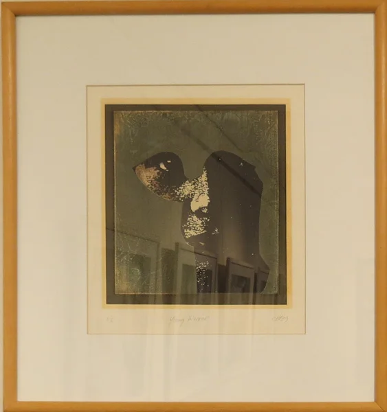  31. Peggy Lyon, 'Young Warrior', Collagraph, chine collé, 1989, 56 x 38 cm, On loan from the Lyon Estate 