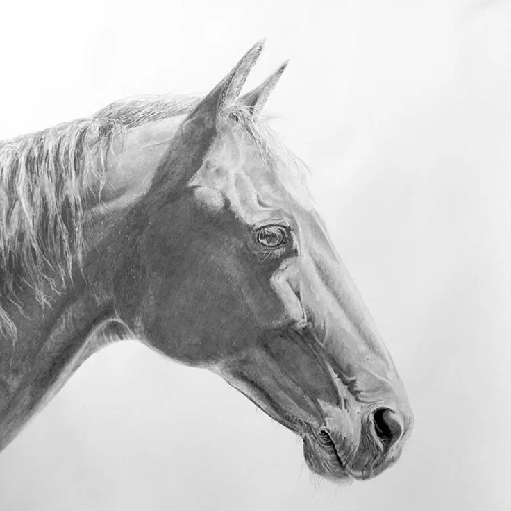 Horse Drawn