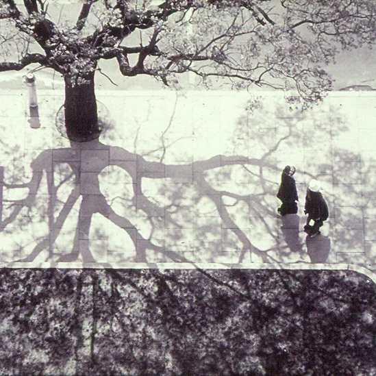 Woldendorp: A Black and White Retrospective