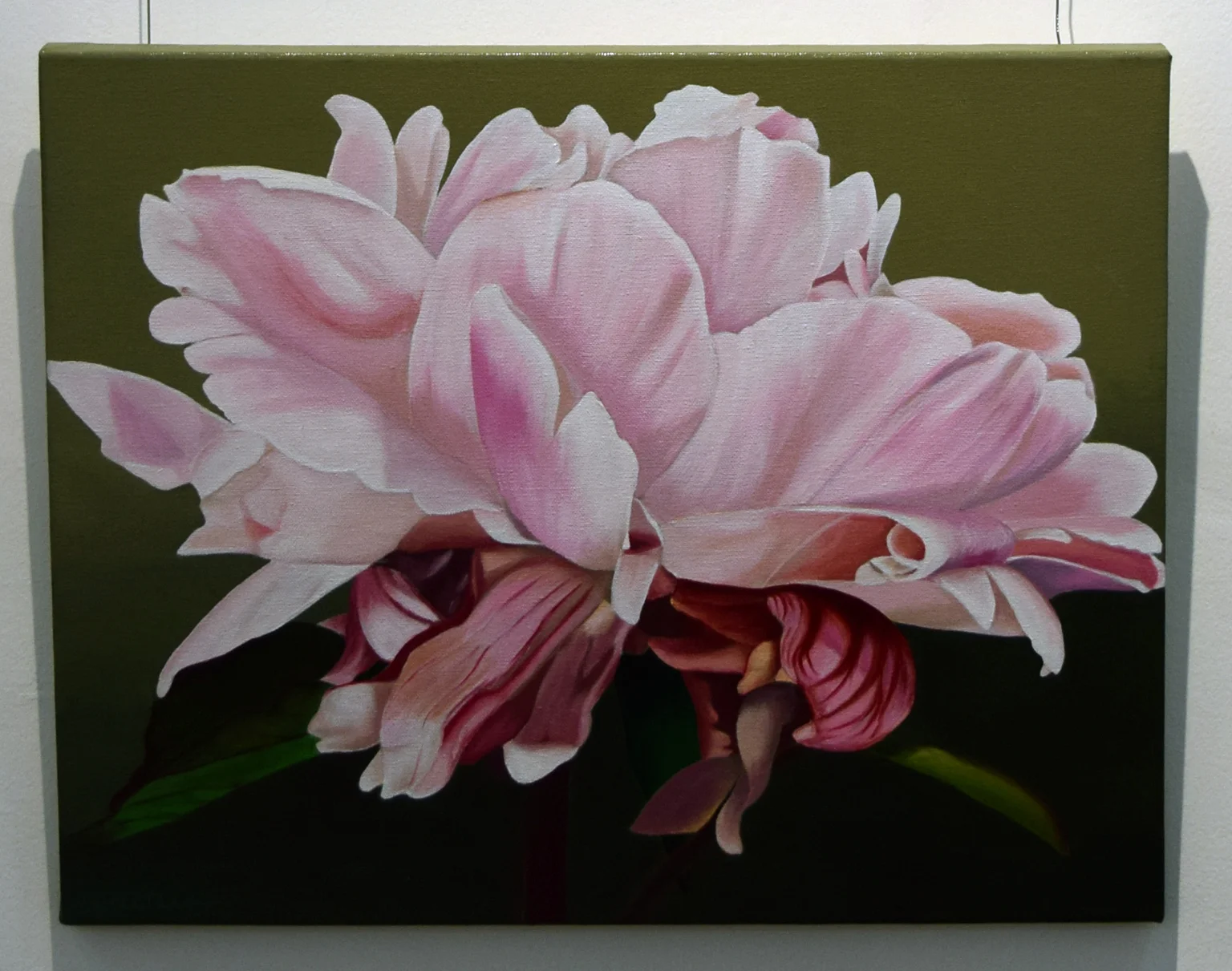 8. Pat Hillard, Peony II, 2018, acrylic on canvas, 50 x 40 cm, $480