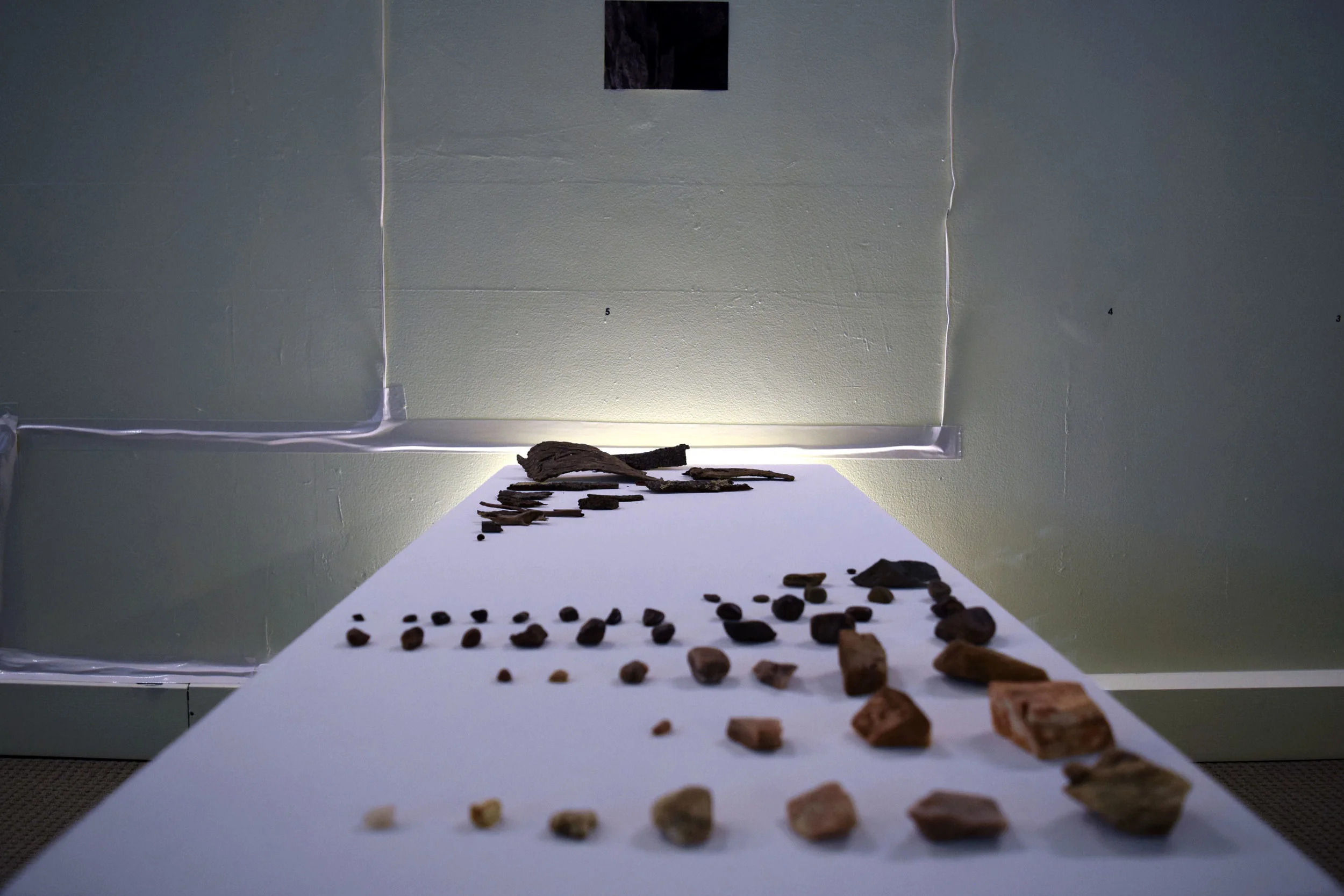 6 Tess Beale & Bina Butcher, Observed, 2018, Found Objects, NFS