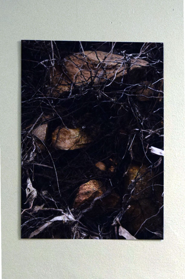 12 Bina Butcher, Nest, 2018, Digital Print, $110