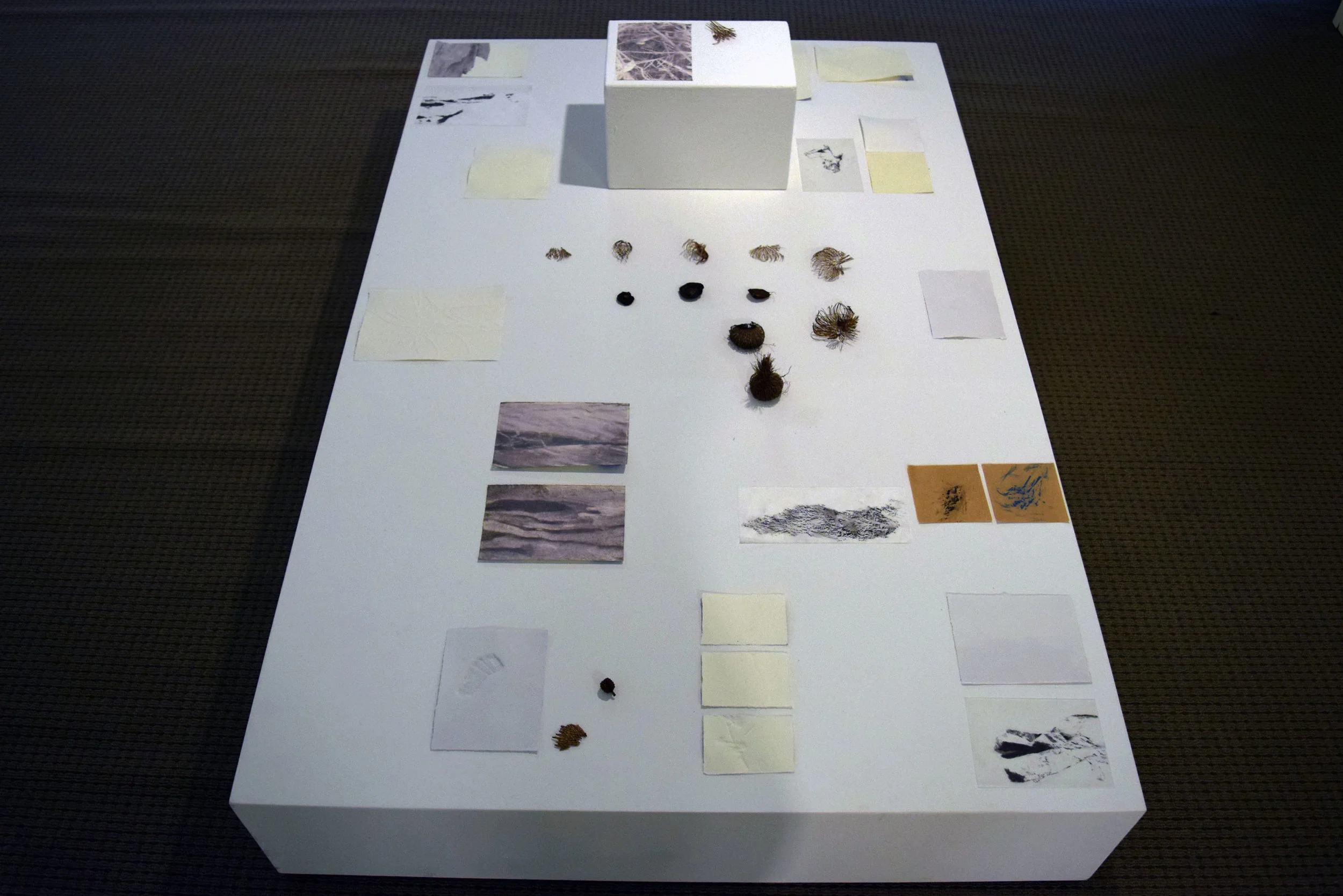 19 Tessa Beale & Bina Butcher, Penumbra II, 2018, Assorted Materials