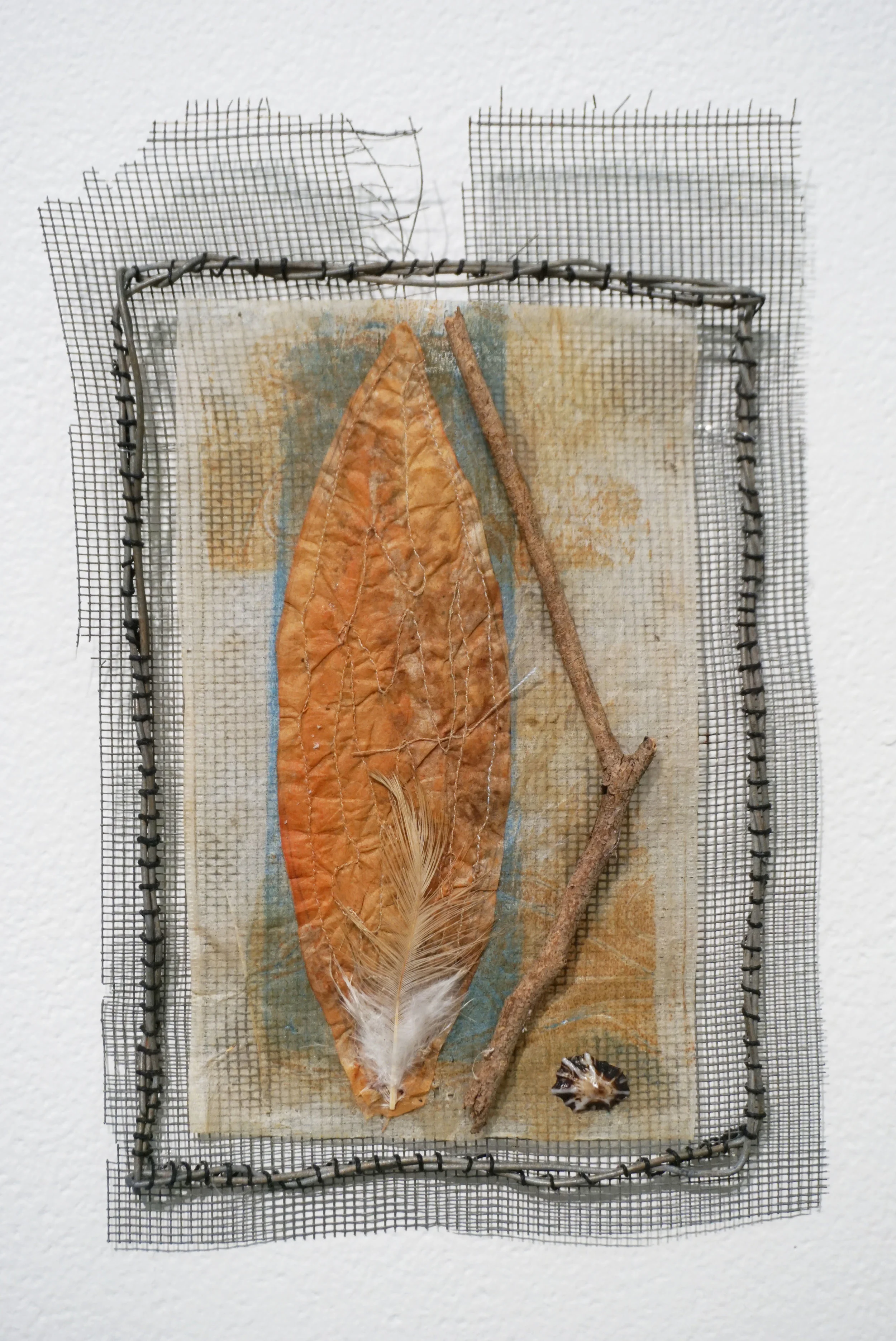  5. Andrea Day,  Of Land, Sea, Sky and Me , Flyscreen, wire, waxed linen, teabag, acrylic paint, shell, twig, feather $45 