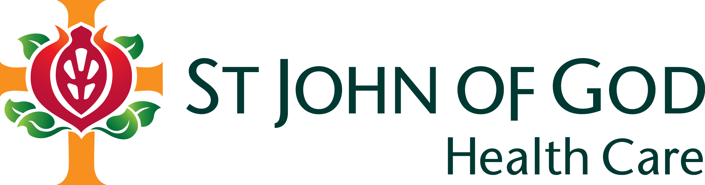 9. SJOG%20HealthCare_Logo%20CMYK_HOR copy.png