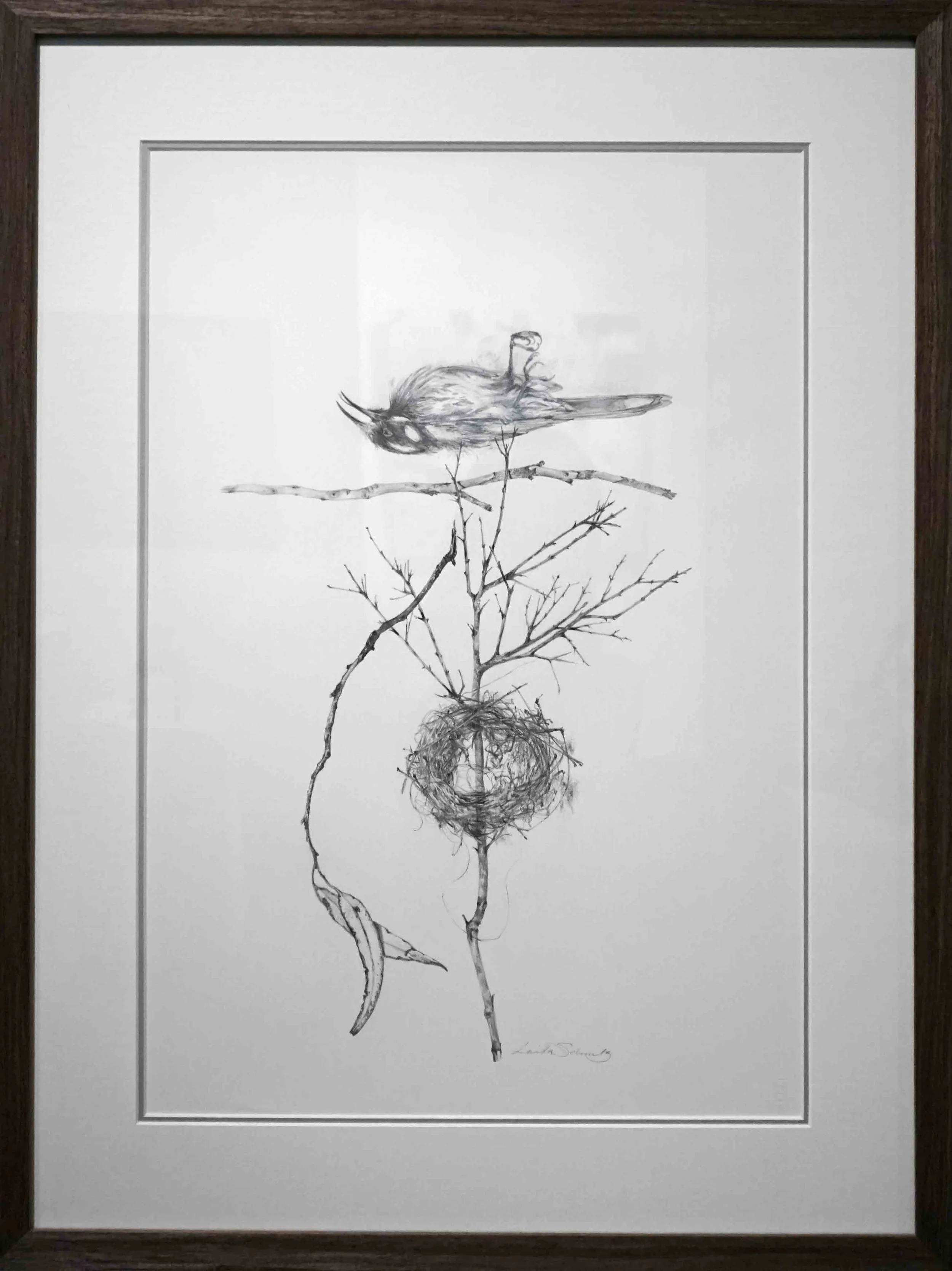  22. Lorita Schmitz, Broken Home, 2019, graphite on Arches paper, 59 x 42 cm.  Acquired by the Shire of Mundaring  