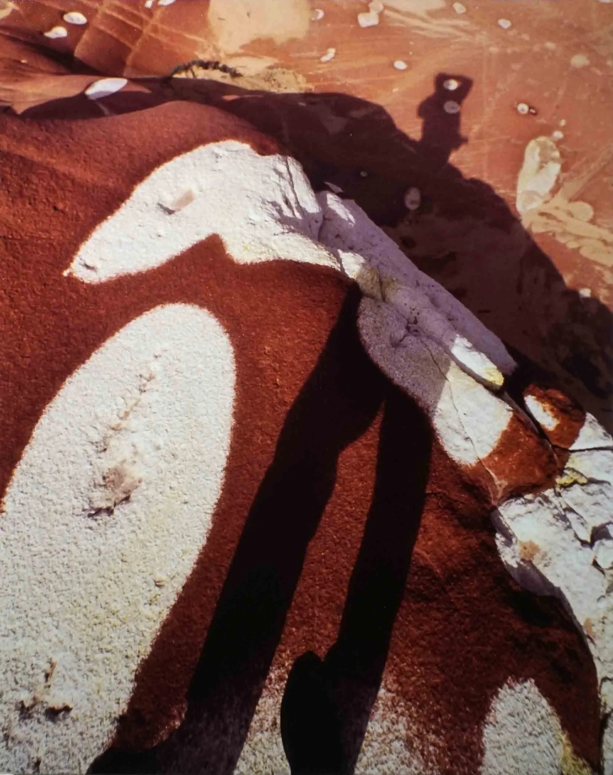  4. Richard Woldendorp,  Self-portrait on rock formation, near Kambalda , 1996, mounted photograph, 25.5 x 20 cm $200 