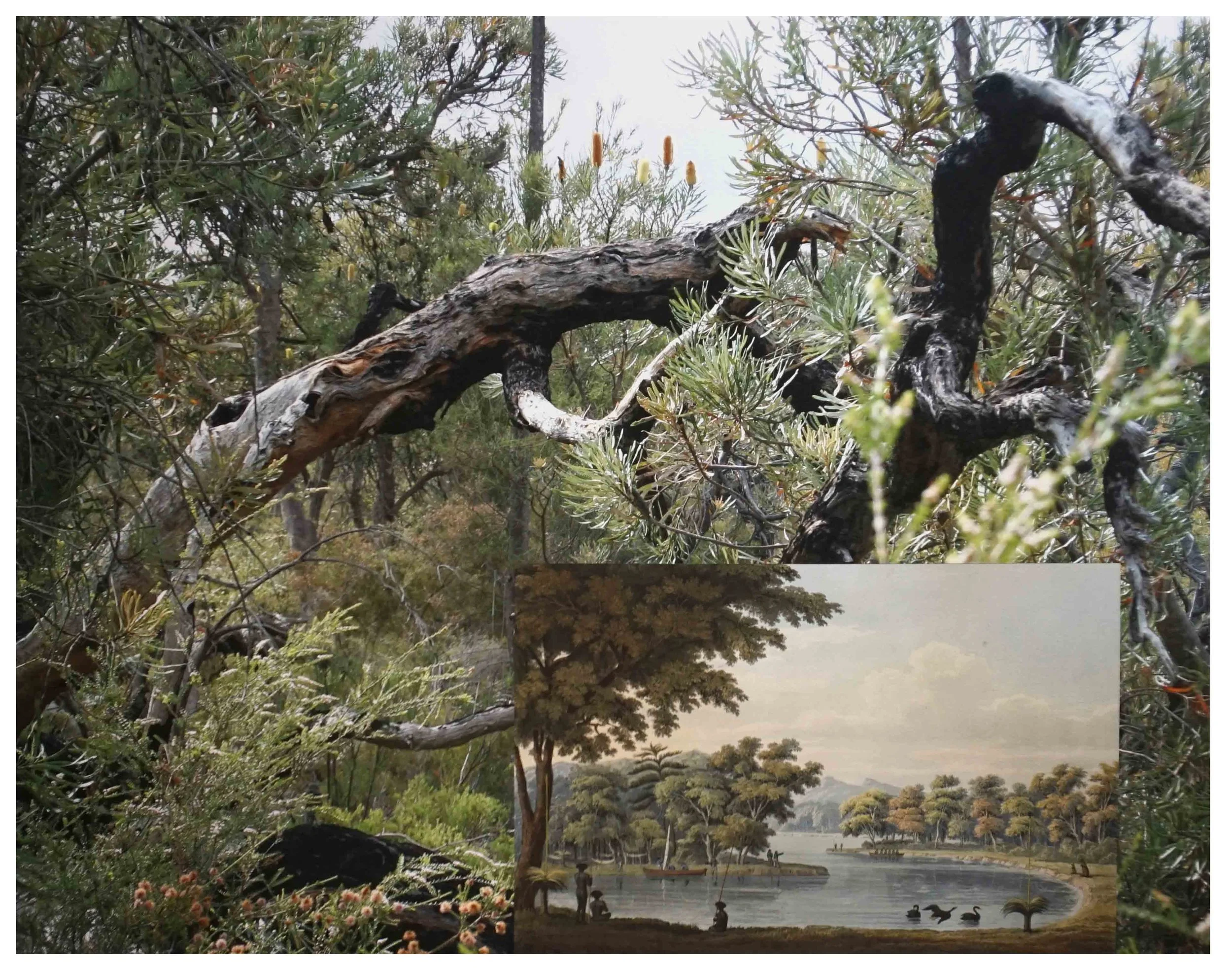  17. Phillipa O'Brien,  Creation Myths 1 , digital print on Arches paper, 59 x 75 cm $800 