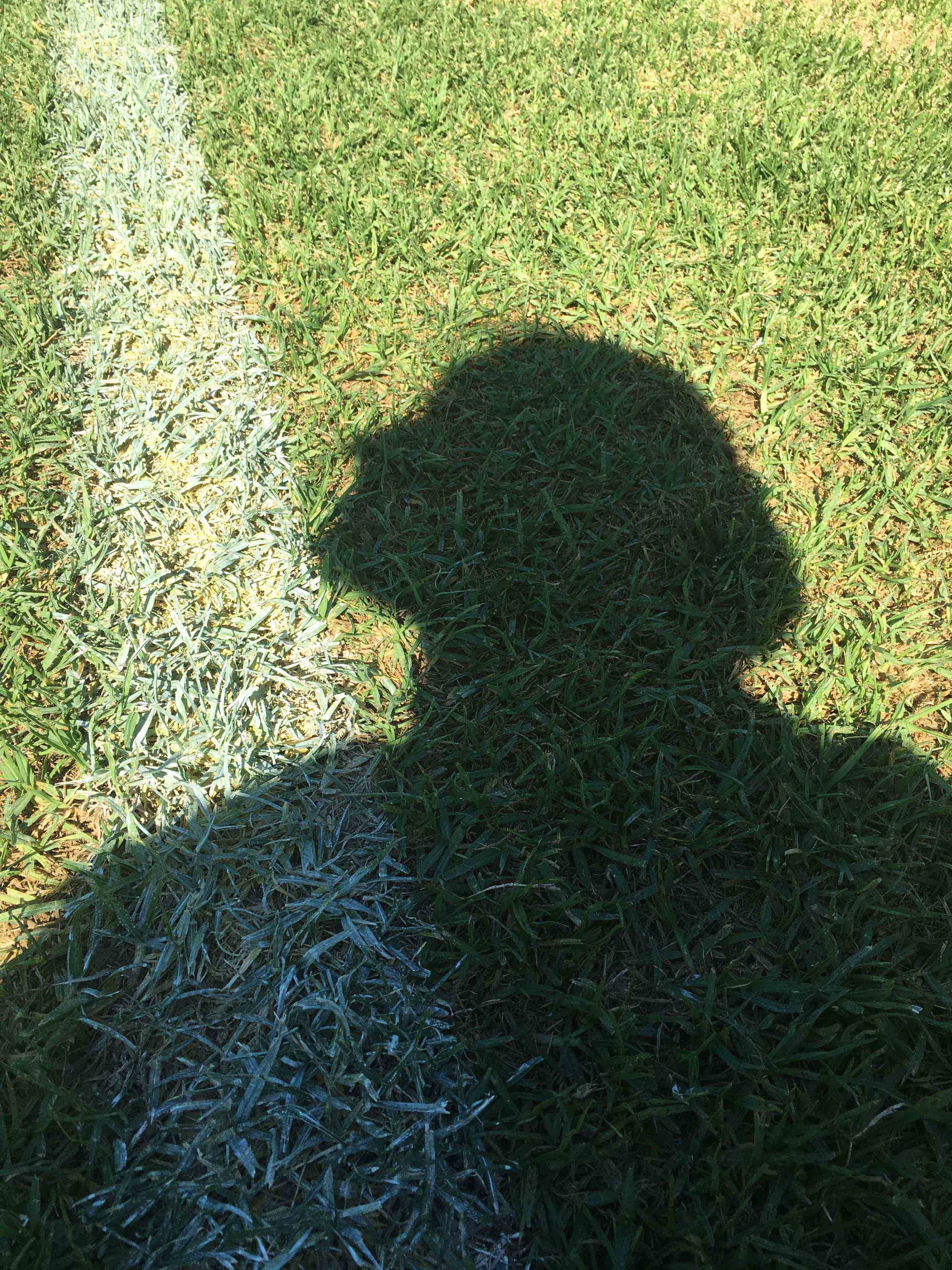  5. Olive Lipscombe,  Shadow Portrait #2 , 2018-2019, digital iPhone photographs. Available to order on matte 310gsm paper with a 2cm border unframed. 25.6 x 34.2 cm. Edition of 5. $150 