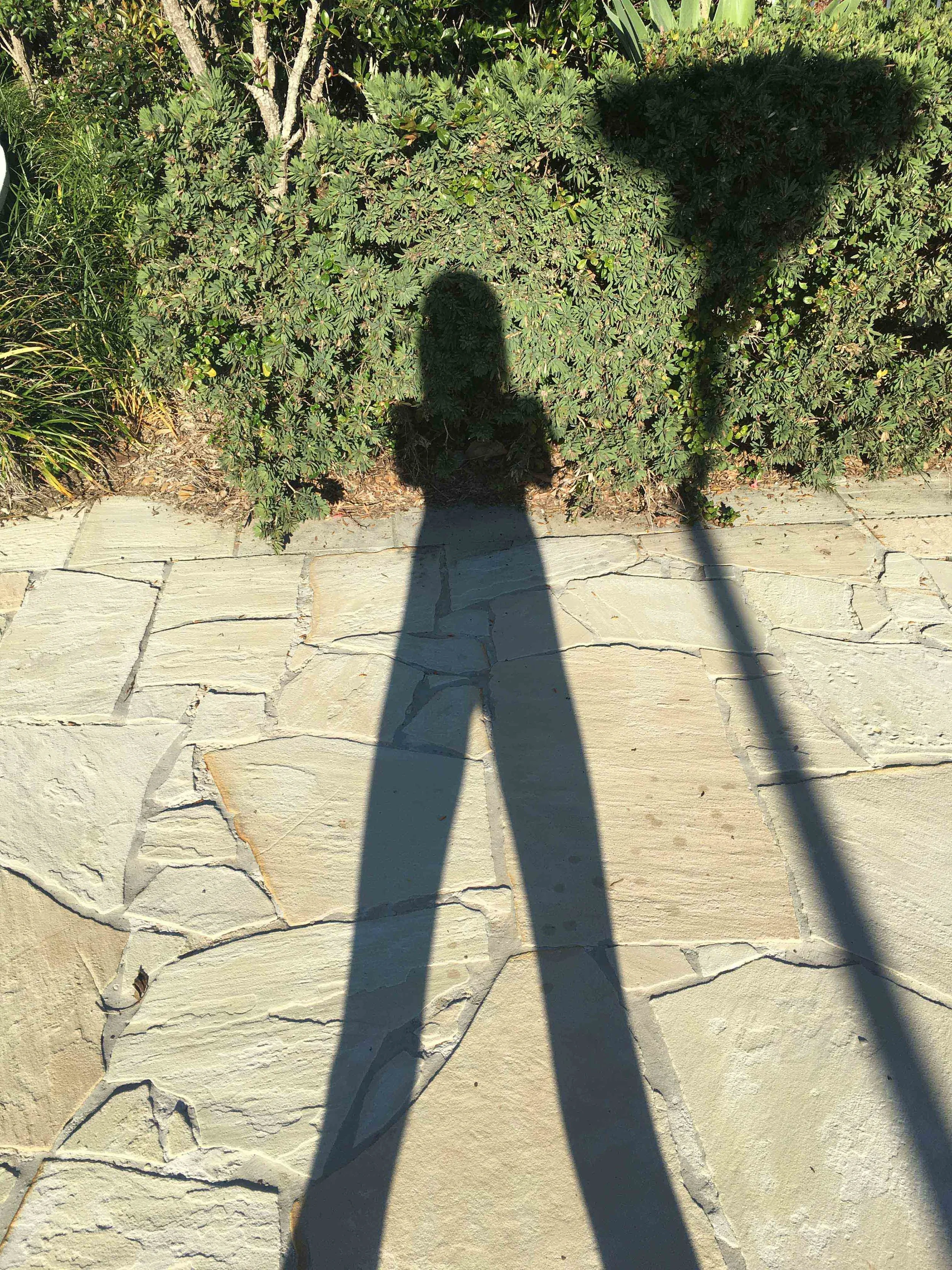  5. Olive Lipscombe,  Shadow Portrait #1 , 2018-2019, digital iPhone photographs. Available to order on matte 310gsm paper with a 2cm border unframed. 25.6 x 34.2 cm. Edition of 5. $150 