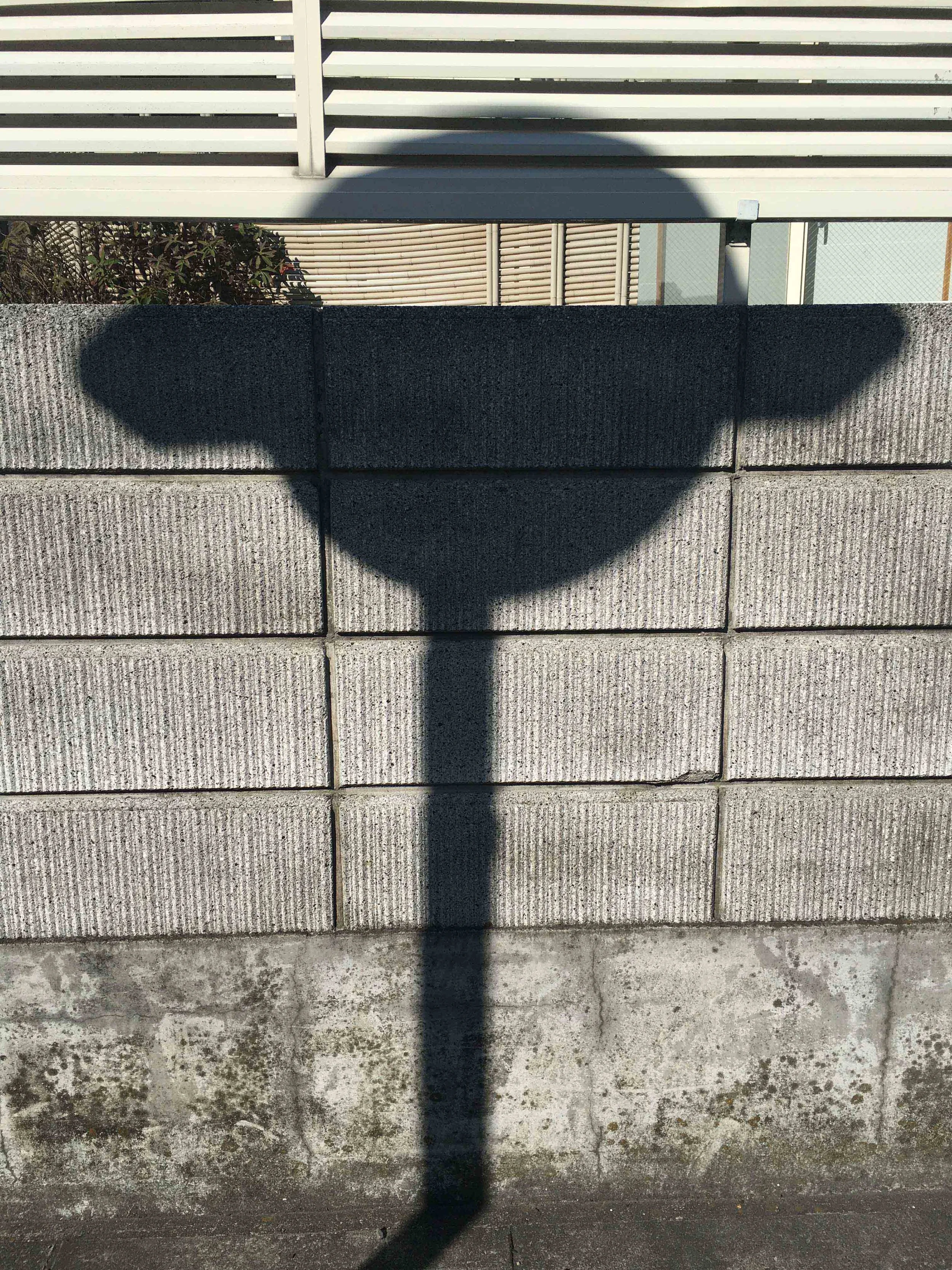  5. Olive Lipscombe,  Shadow Portrait #9 , 2018-2019, digital iPhone photographs. Available to order on matte 310gsm paper with a 2cm border unframed. 25.6 x 34.2 cm. Edition of 5. $150 