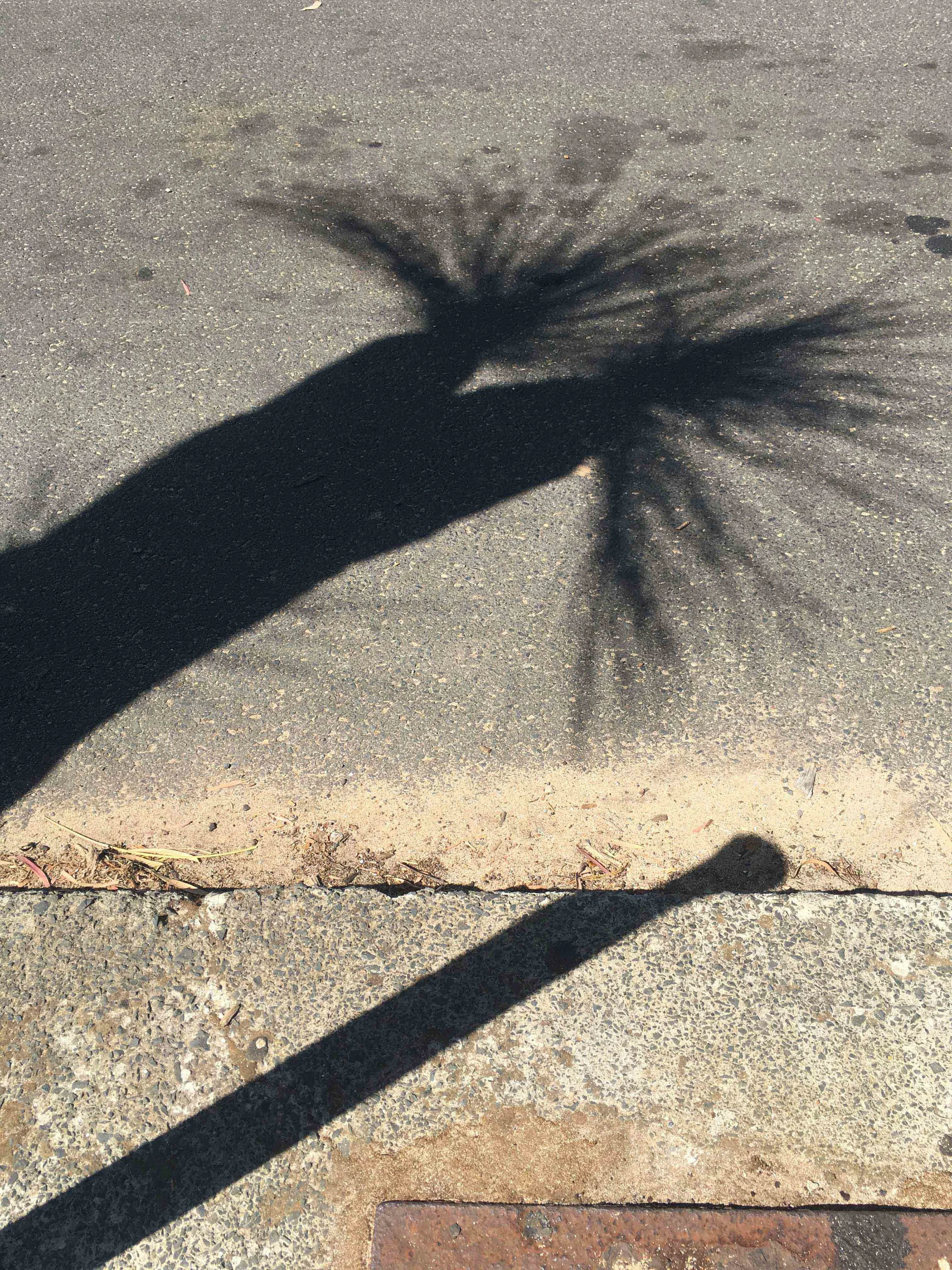  5. Olive Lipscombe,  Shadow Portrait #11 , 2018-2019, digital iPhone photographs. Available to order on matte 310gsm paper with a 2cm border unframed. 25.6 x 34.2 cm. Edition of 5. $150 