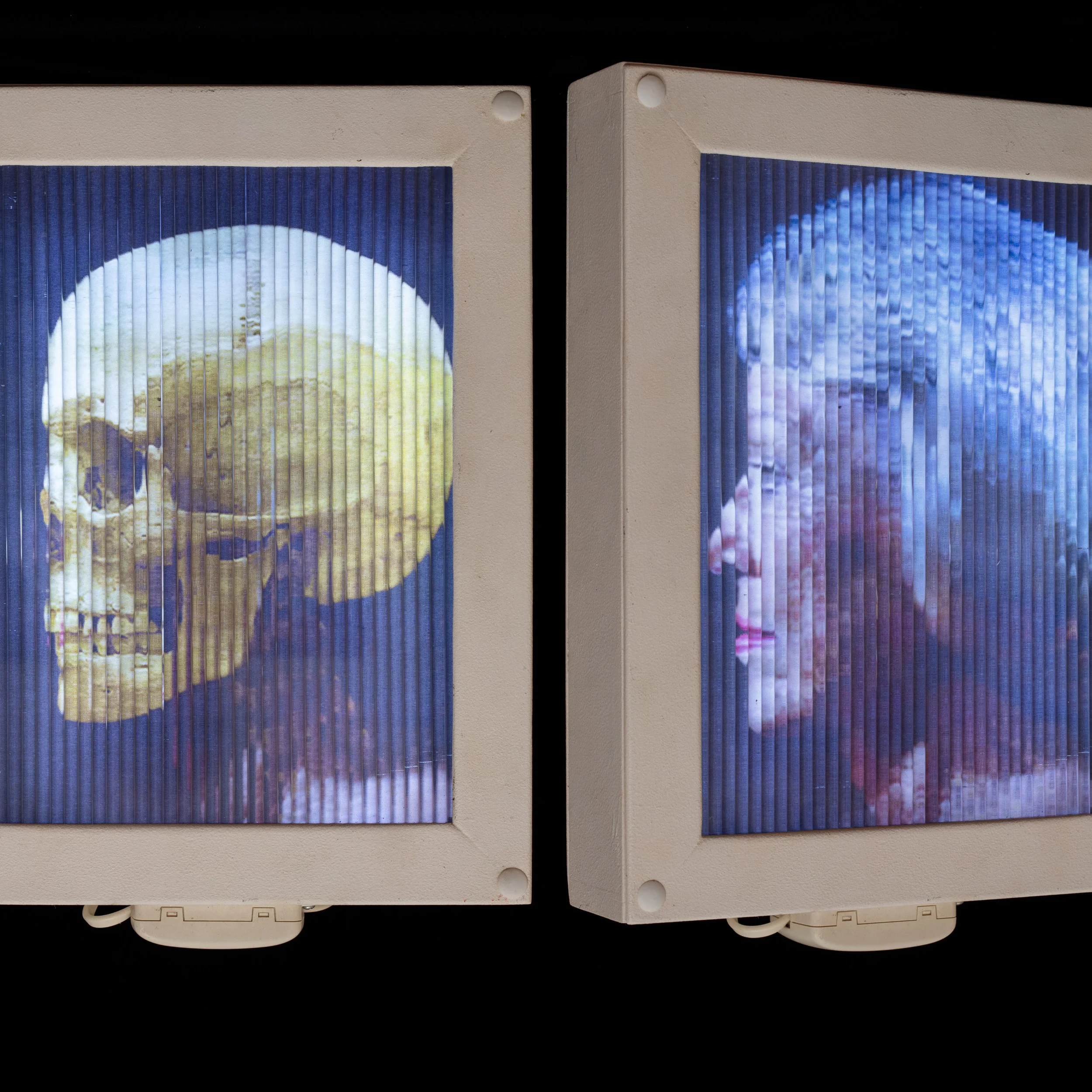 Joan Johnson | In-conversation