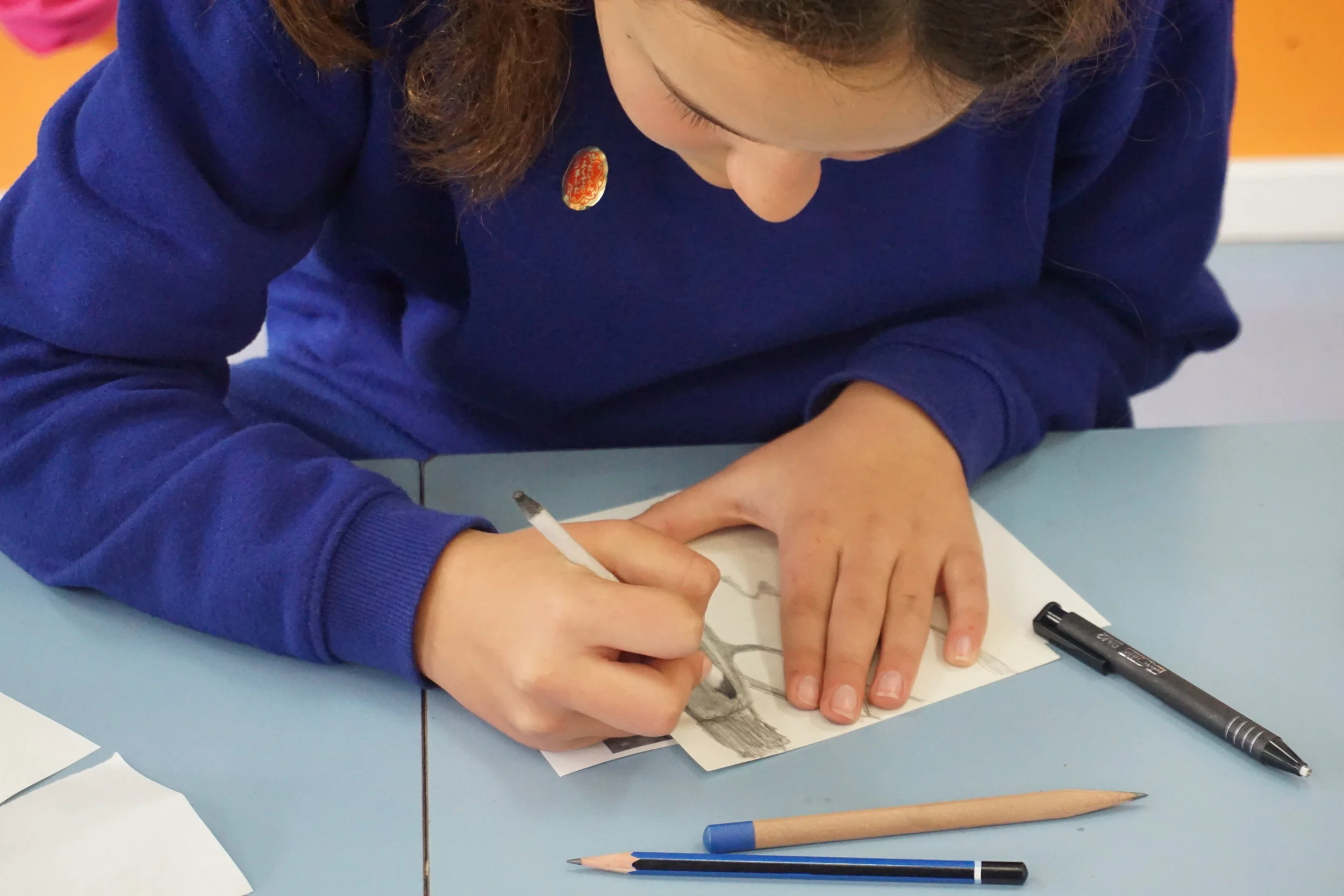 Mt Helena PS_Ross Potter_Blue Banded Bee Wshop_Seeds Pods Pollen_2019 (1).JPG