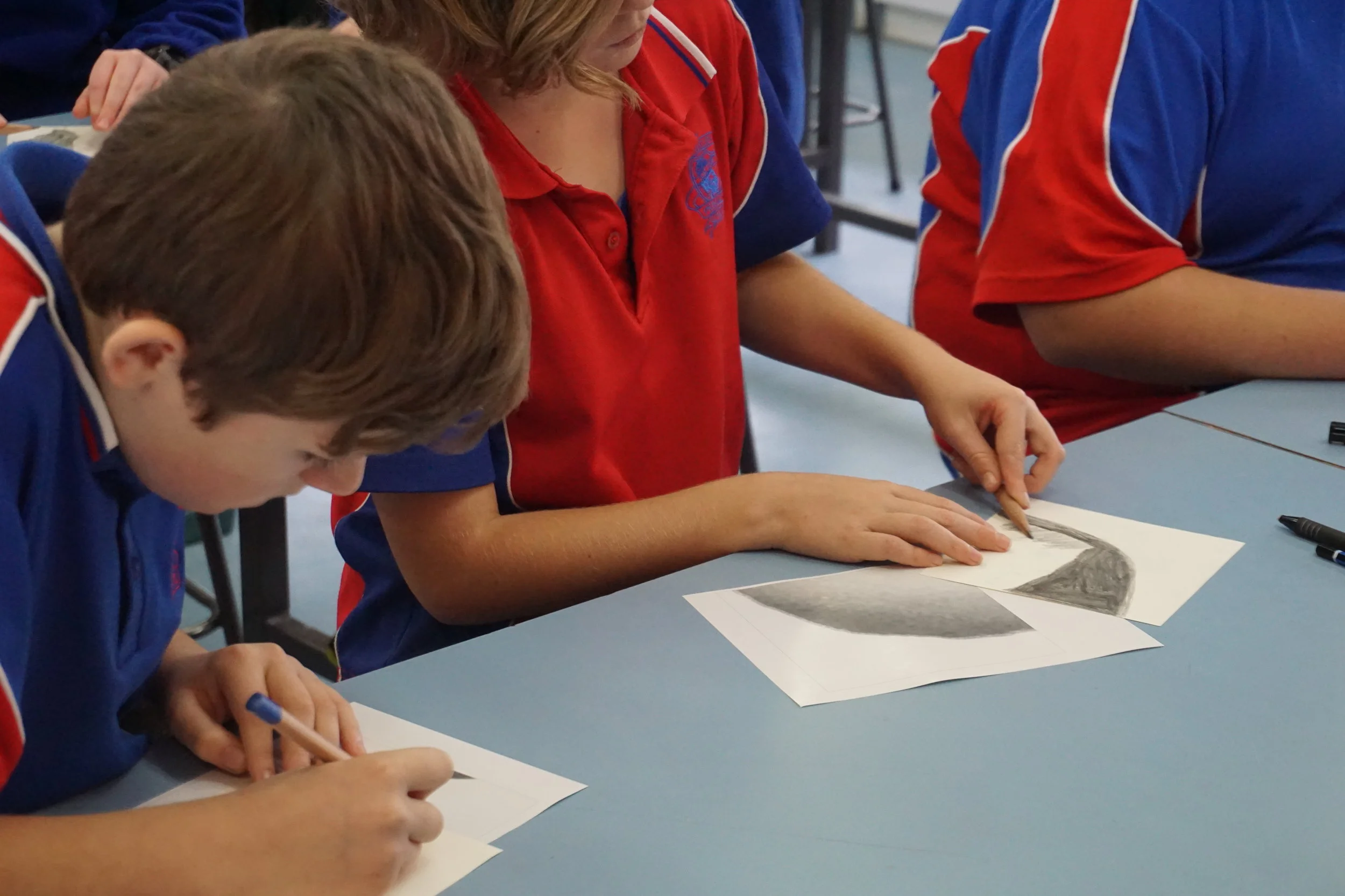 Mt Helena PS_Ross Potter_Blue Banded Bee Wshop_Seeds Pods Pollen_2019 (14).JPG