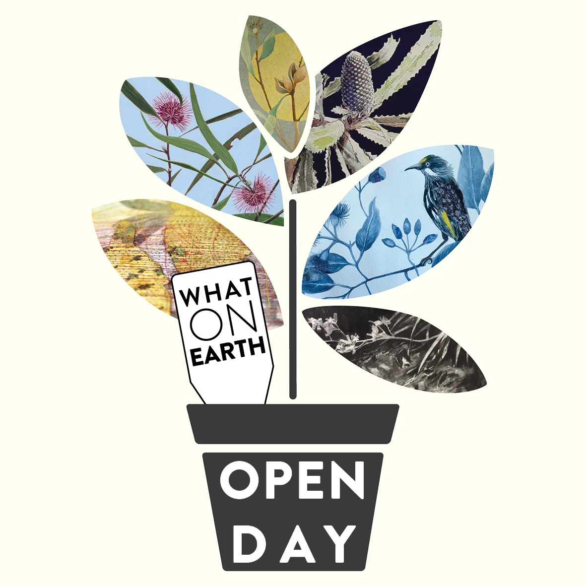 What On Earth Open Day
