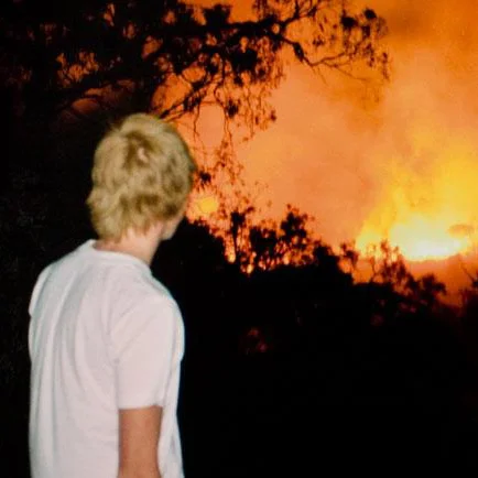 The Botanical: Beauty and Peril